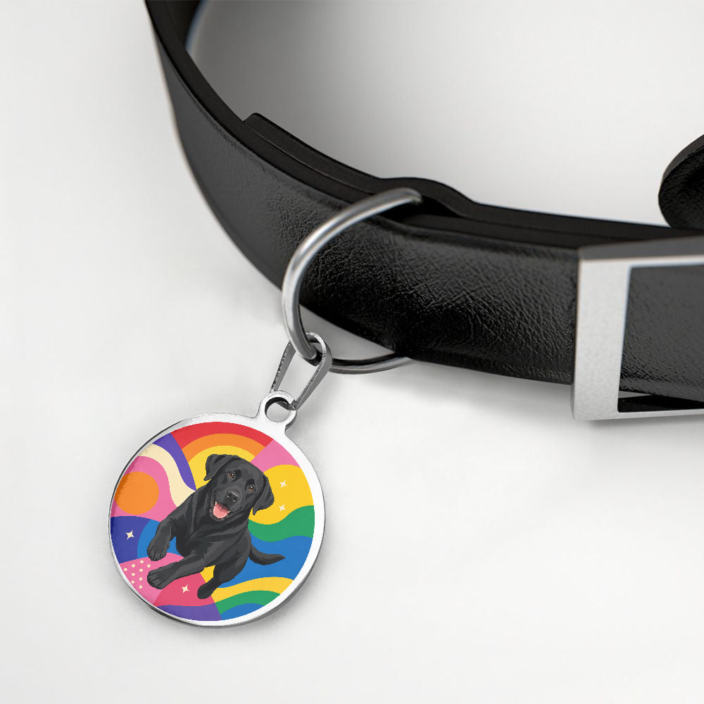 Labrador Retriever Rainbow Wave Runner Personalized Dog ID Tag additional product view