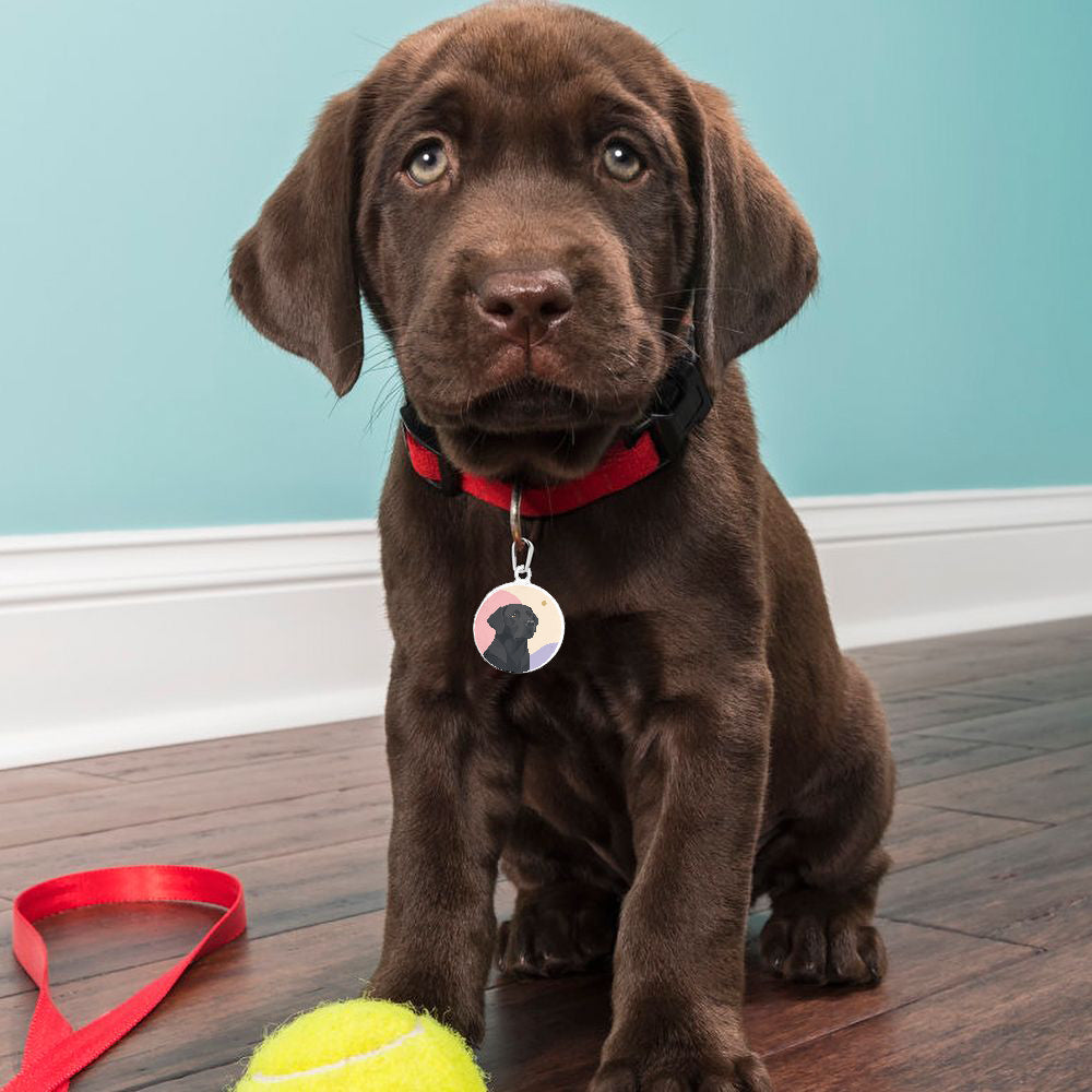 Labrador Retriever Soft Geometric Portrait Personalized Dog ID Tag additional product view