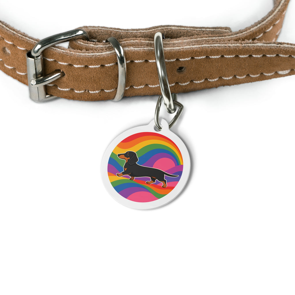 Etiqueta de identificación para perro personalizada Dachshund Rainbow