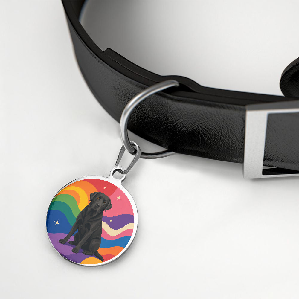 Labrador Retriever Midnight Rainbow Waves Personalized Dog ID Tag additional product view