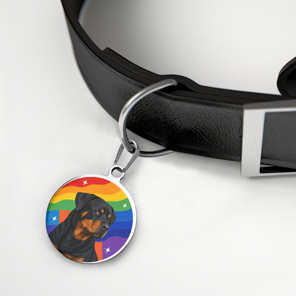 Rottweiler Rainbow Wave Portrait personalized dog ID tag product detail