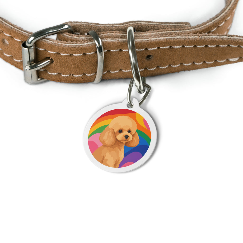 Toy Poodle Rainbow Joy Albaricoque Placa de Identificación Personalizada para Perros