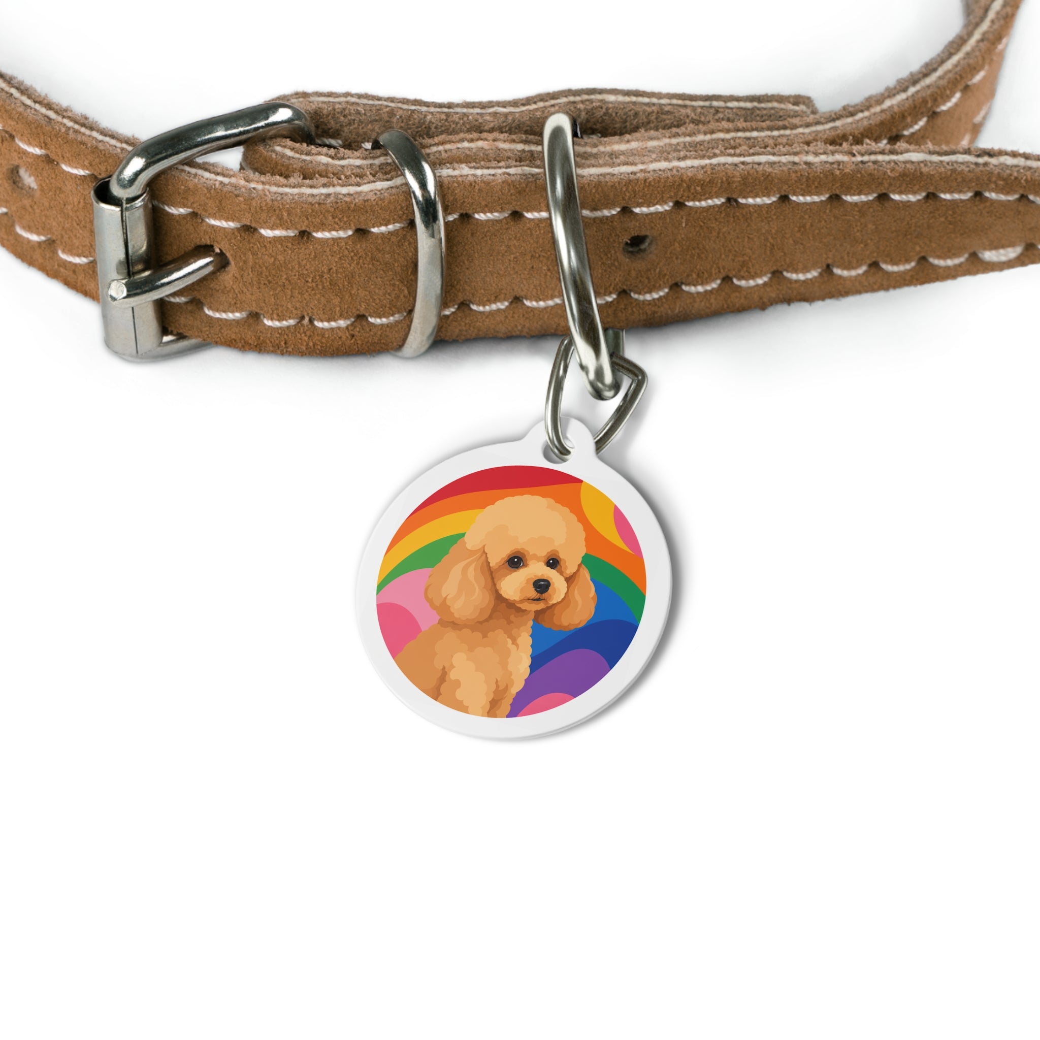 Toy Poodle Rainbow Joy Albaricoque Placa de Identificación Personalizada para Perros