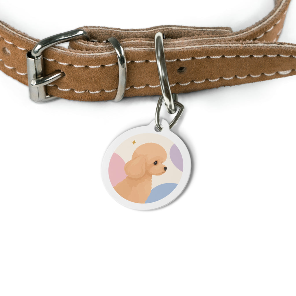 Toy Poodle Pastel Suave Perfil Albaricoque Placa de Identificación Personalizada para Perro