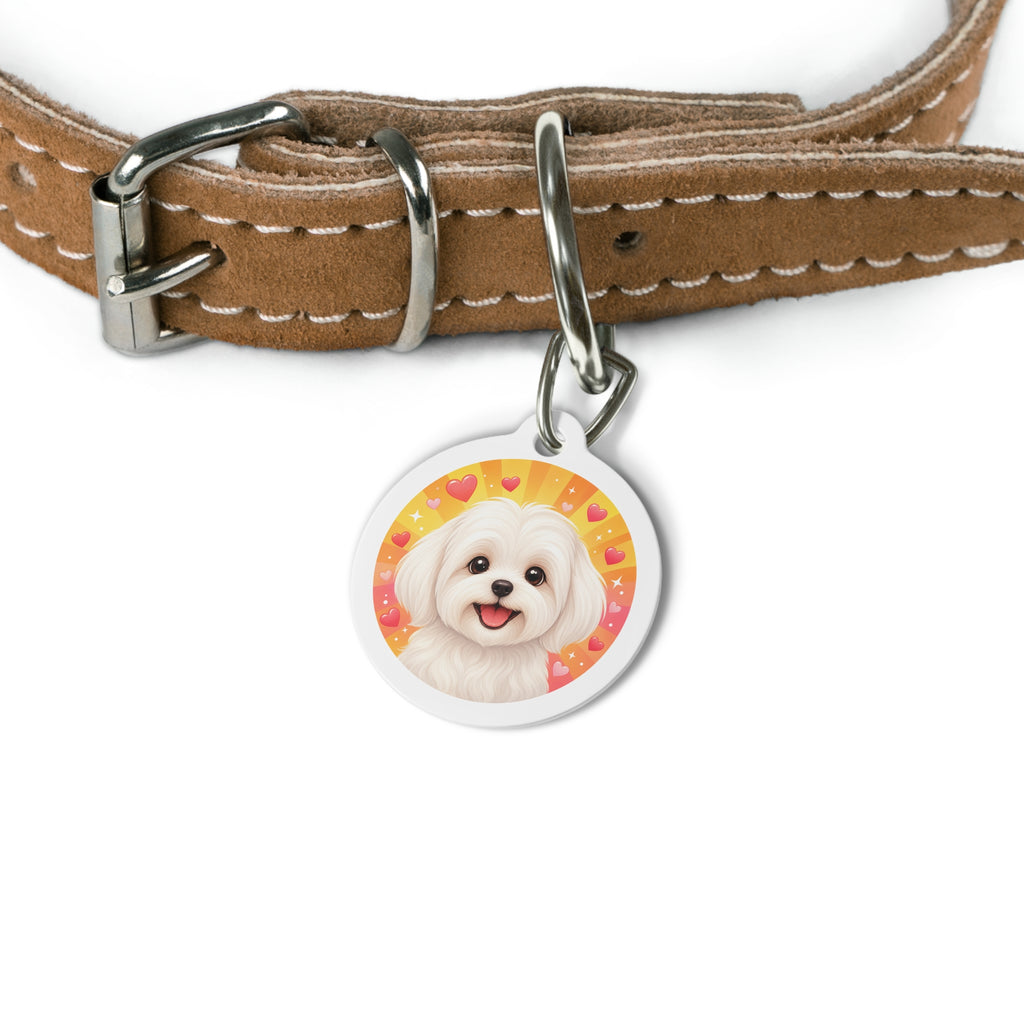 Chapa identificativa personalizada para perro Retrato Corazones Soleados Maltés