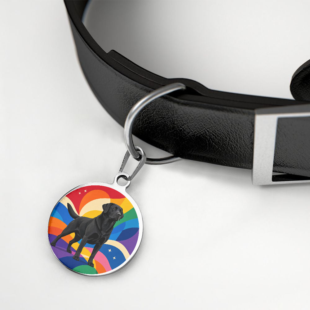 Labrador Retriever Rainbow Pride Hills Personalized Dog ID Tag additional product view